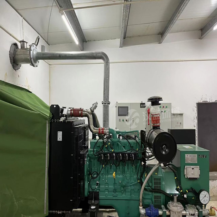 萬(wàn)純SCR脫硝系統(tǒng)-糞肥沼氣發(fā)電機(jī)組脫硝 萬(wàn)純SCR脫硝系統(tǒng)-糞肥沼氣發(fā)電機(jī)組脫硝