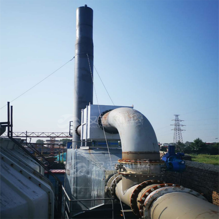 河北漢藍某煤層氣發(fā)電脫硝項目