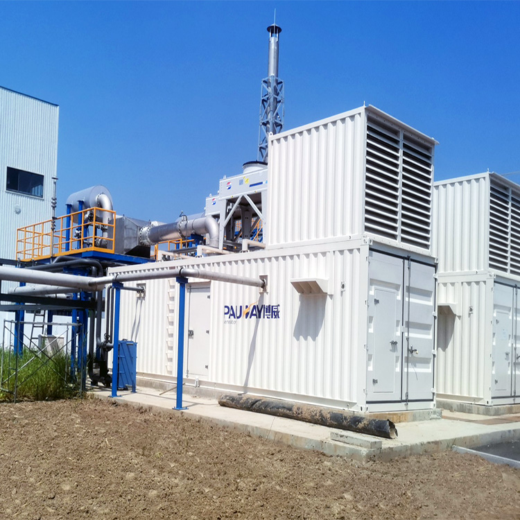 萬純SCR脫硝系統(tǒng)-餐廚垃圾沼氣發(fā)電機組脫硝