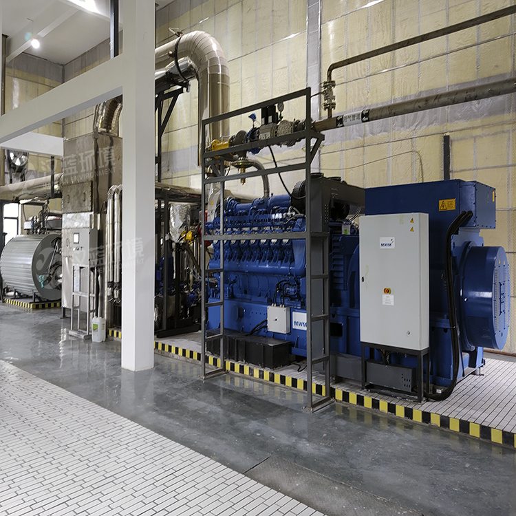 萬純SCR脫硝工程-沼氣發(fā)電機組脫硝