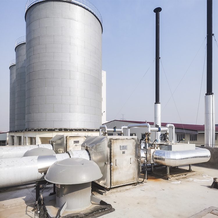 萬純系列煙氣凈化設(shè)備-沼氣發(fā)電機組脫硝系統(tǒng)